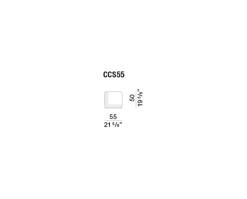 Cleo - CCS55